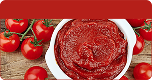 Tomato Paste / Ketchup